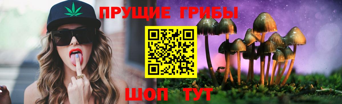 Галлюциногенные грибы Psilocybine cubensis Кудрово